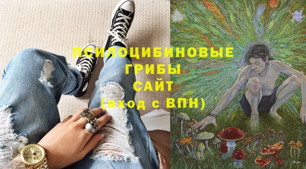 бутират Лиски