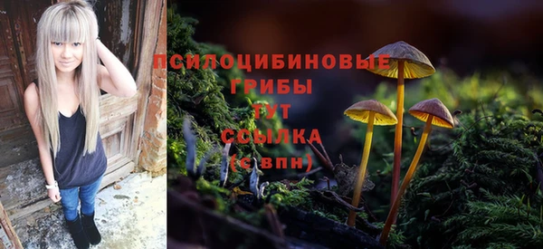 бутират Лиски