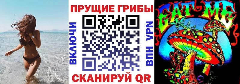 Купить  Кашин  Псилоцибиновые грибы Psilocybe 